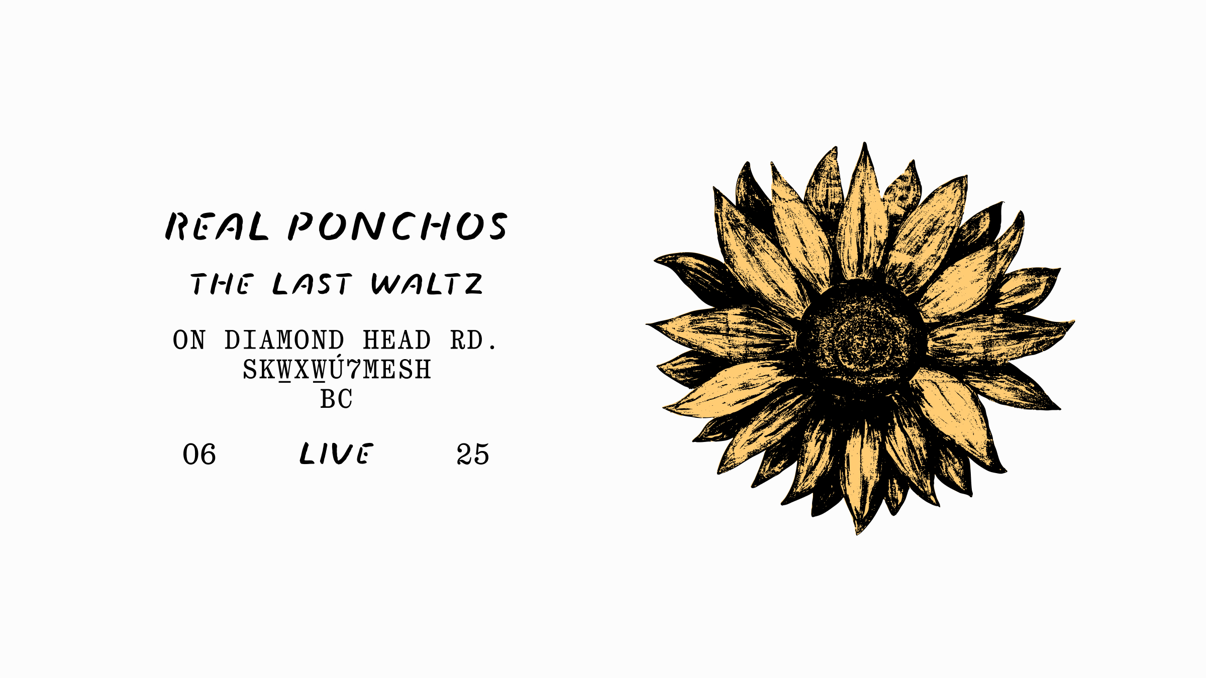 vermont bezier study