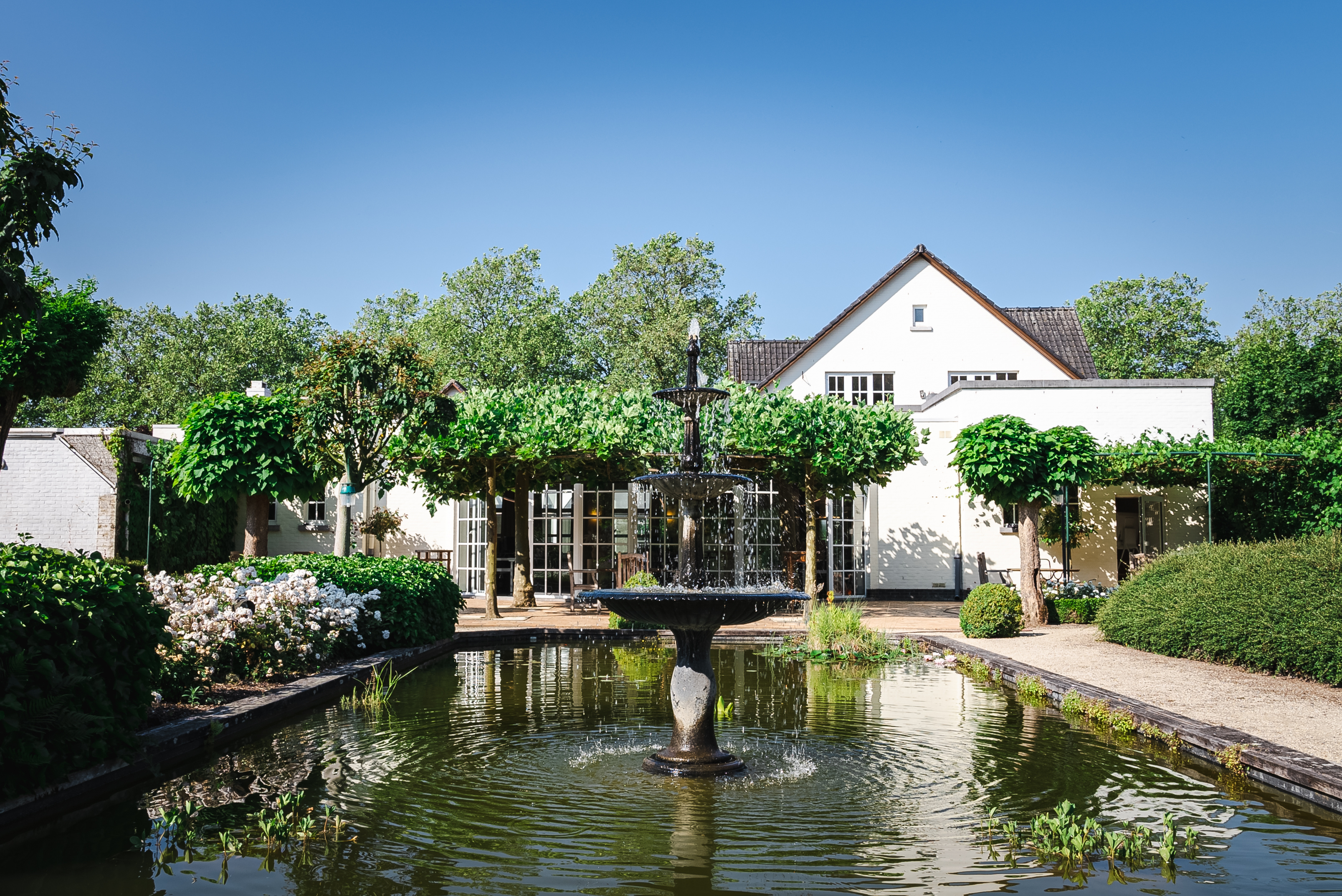 Team celebrating by joining hands