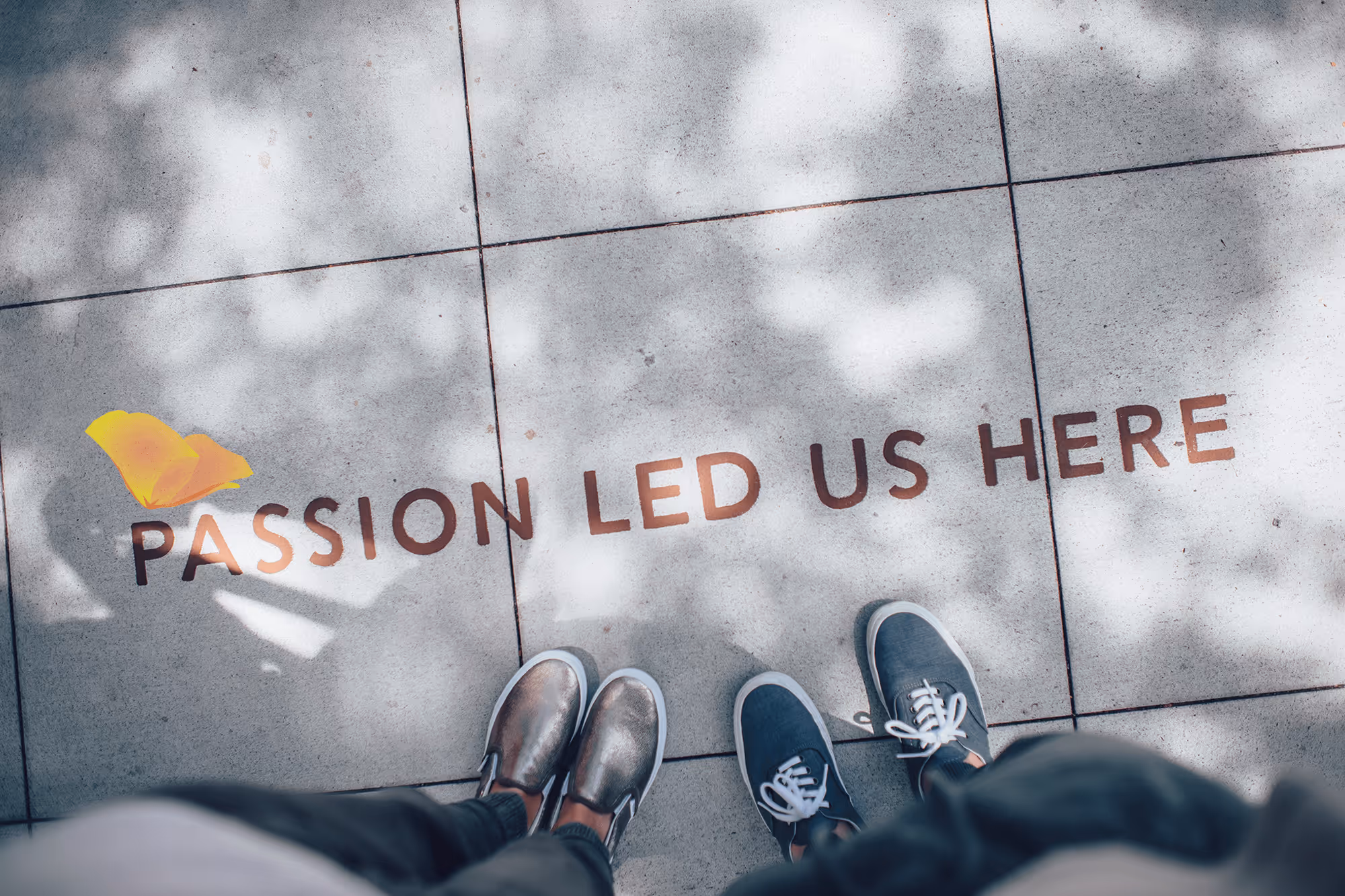 point of view image of a sidewalk with passion led us here written on it