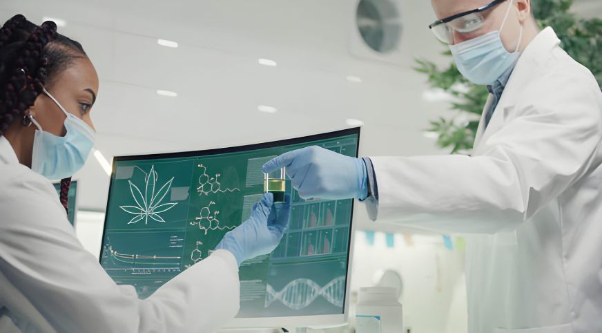 Many patients start by looking for THC doctors near me because they want convenient, local access to medical cannabis.