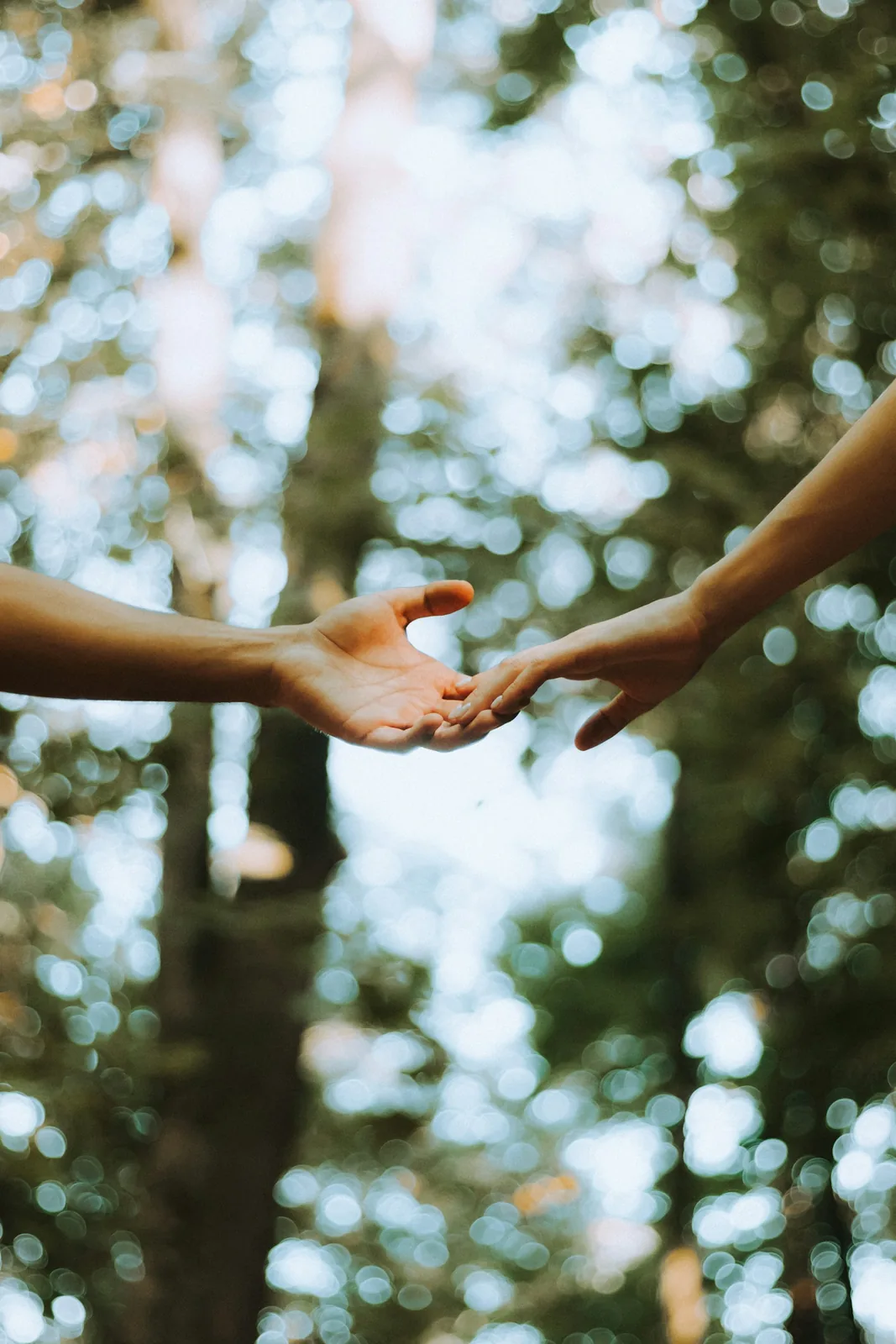 Two hands reaching toward each other in a sunlit forest