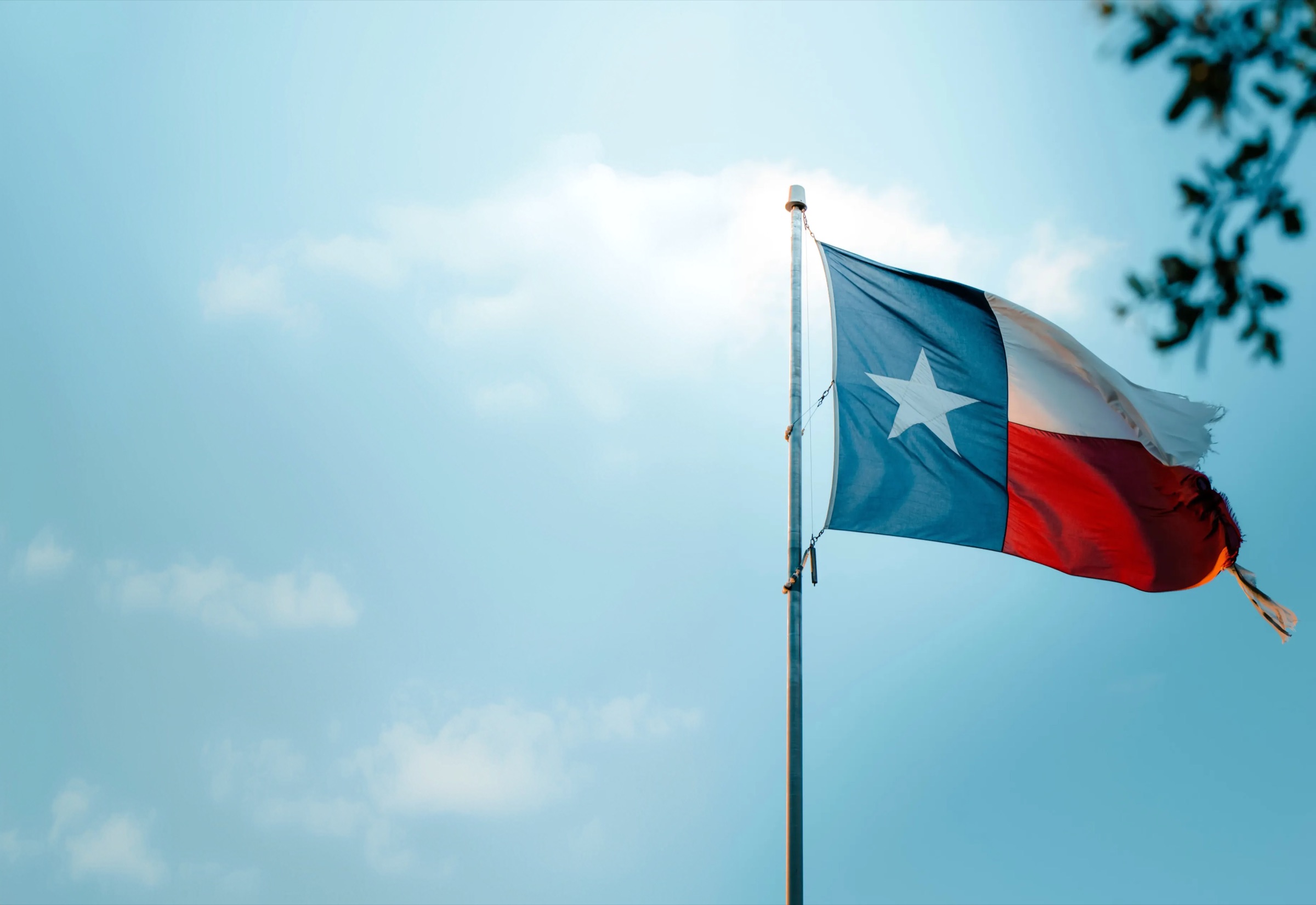 Texas state flag waving against a blue sky