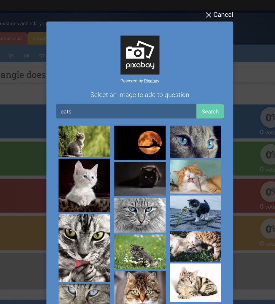 In addition to video trivia, the new Crowdpurr stock image library powered by Pixabay shows the results for "cats"