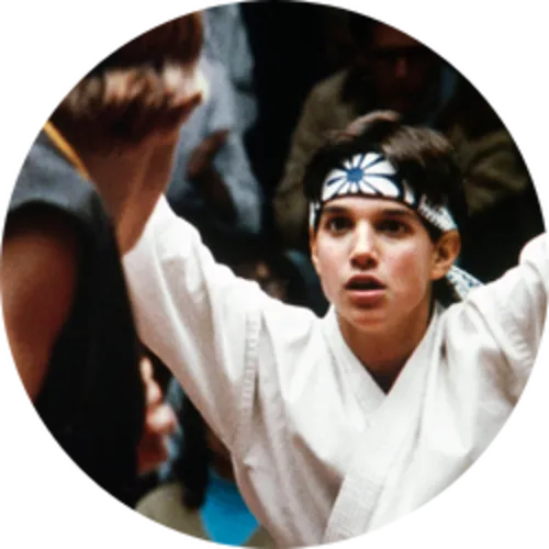 The Karate Kid Franchise