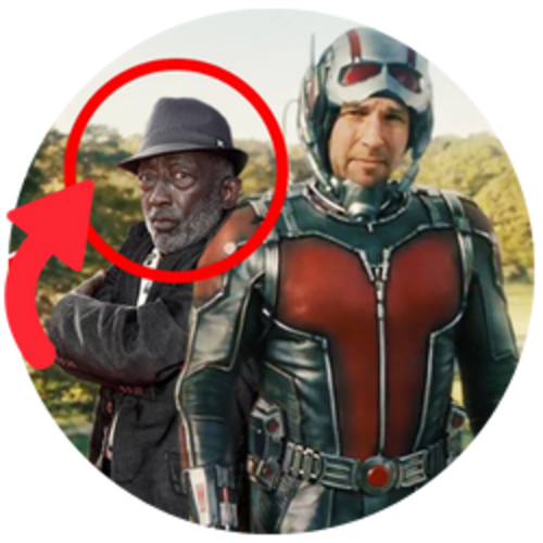 Famous Cameos