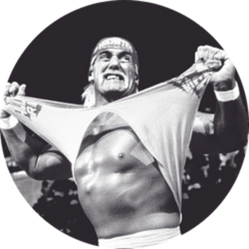 Hulk Hogan Tribute