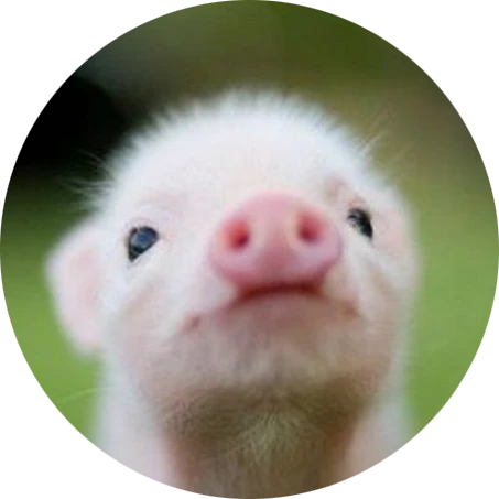 Guess the Animal Baby