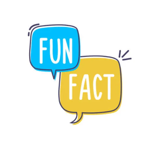 Fun Facts 30