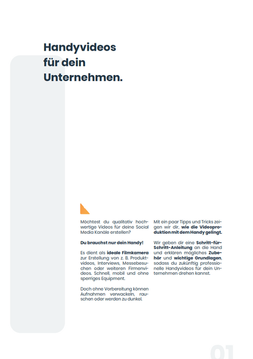 Whitepaper - 12 steps to your business video