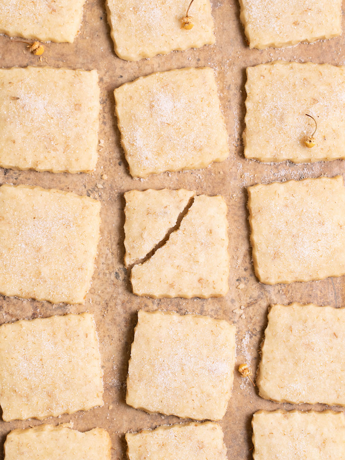 Chamomile shortbread cookies