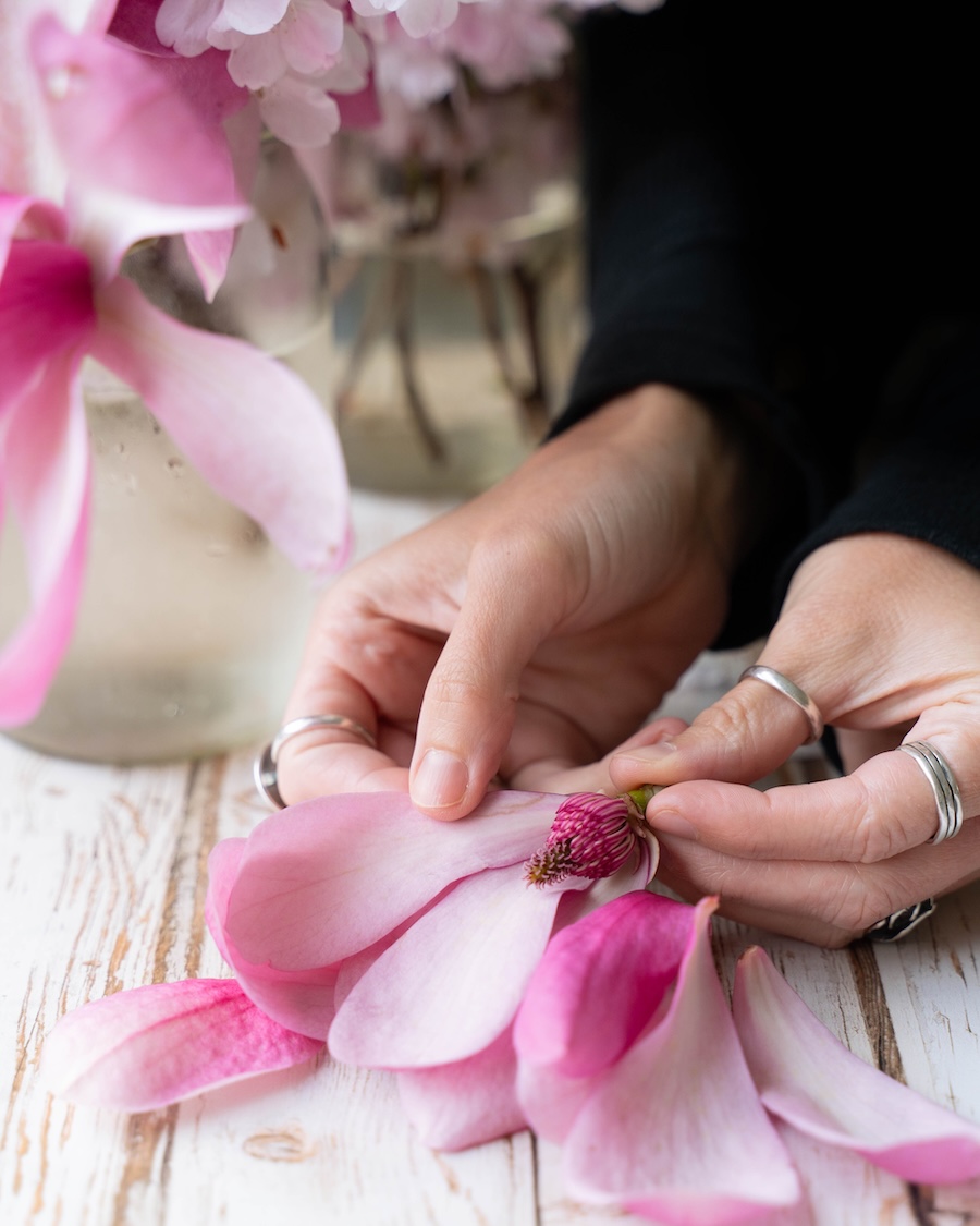 Hands removing petals from magnolia flowers