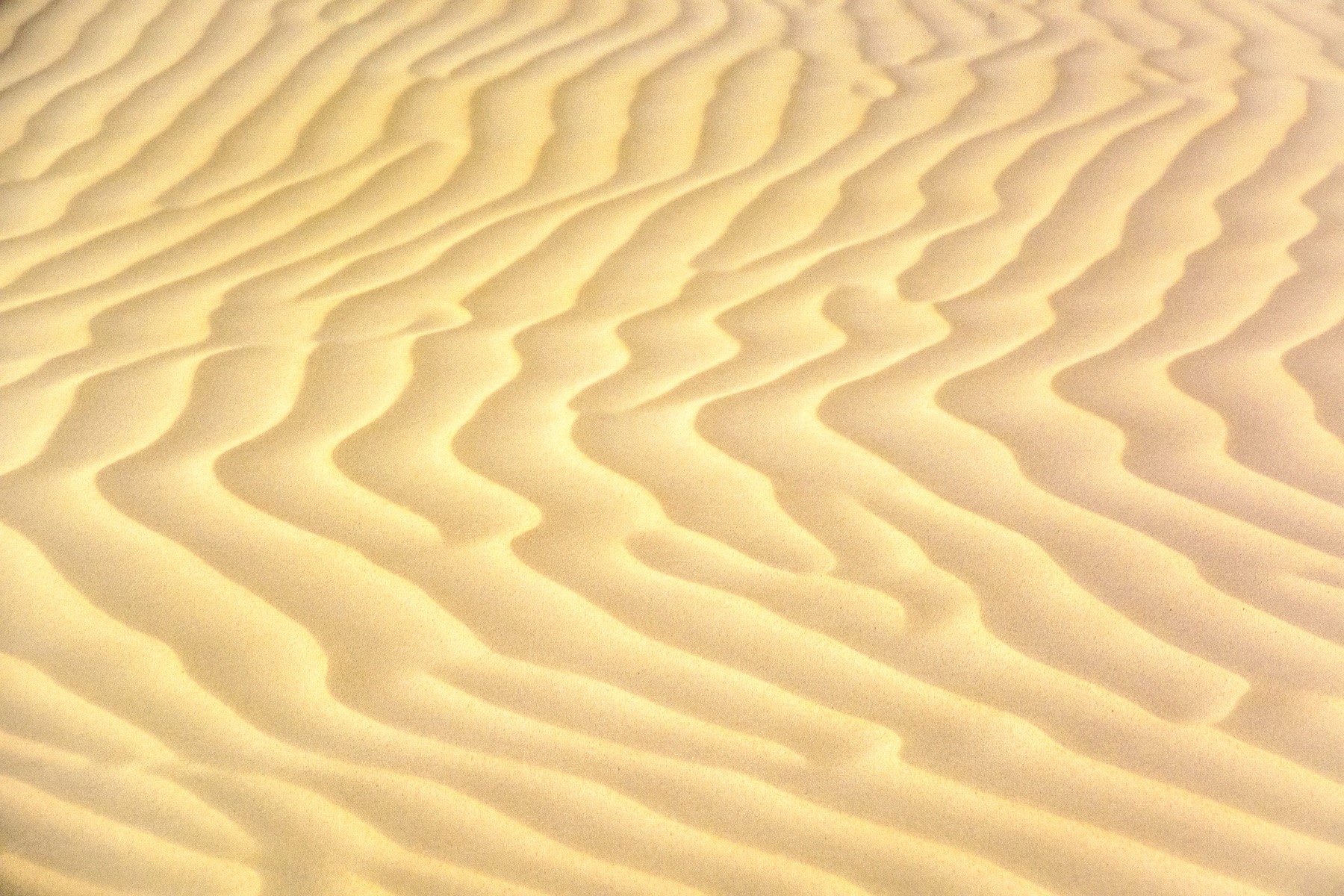 Sand.