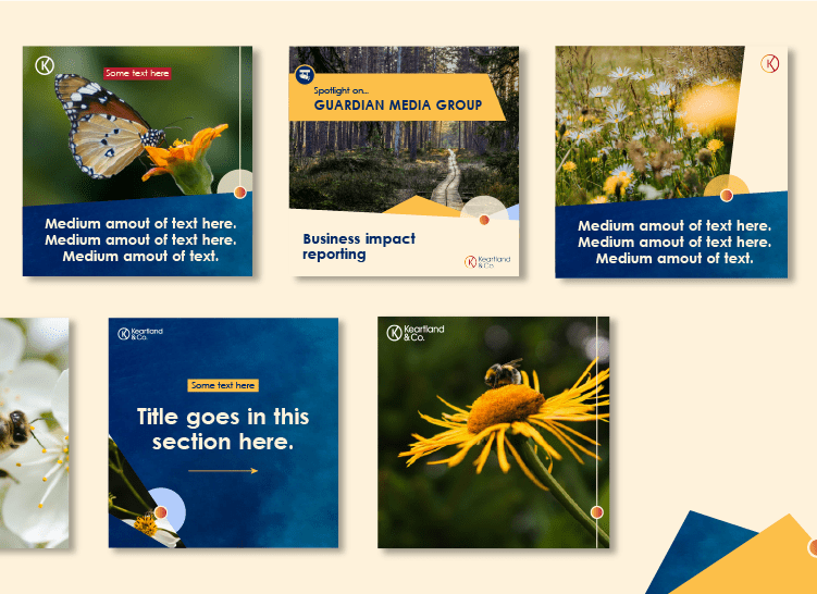 Social media template designs - vibrant nature focussed