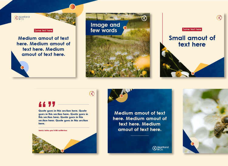 Social media template designs - vibrant nature focussed