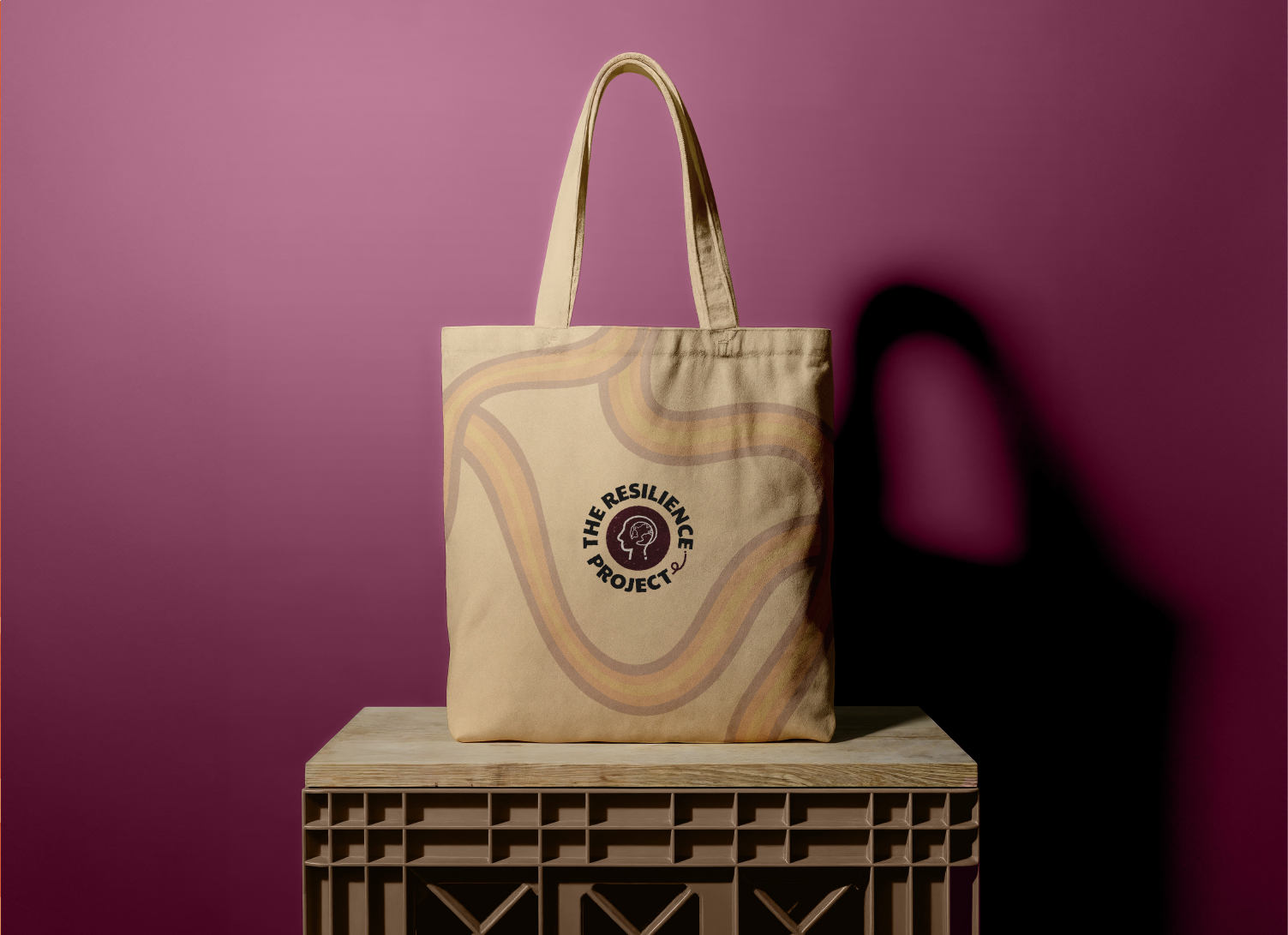 The Resilience Project bag mock up