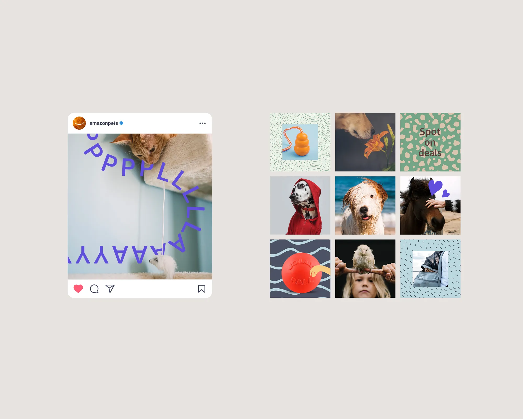 Social content for Amazon Pets
