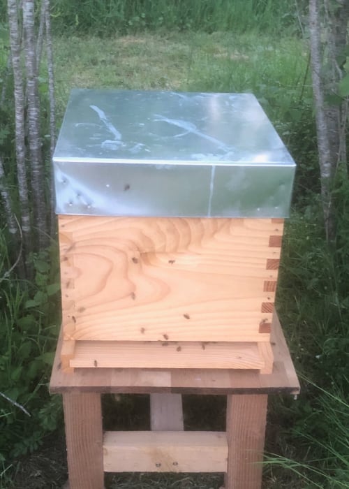 a wooden beehive