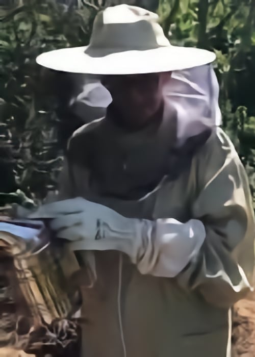 a man wearing a bee keeping hat