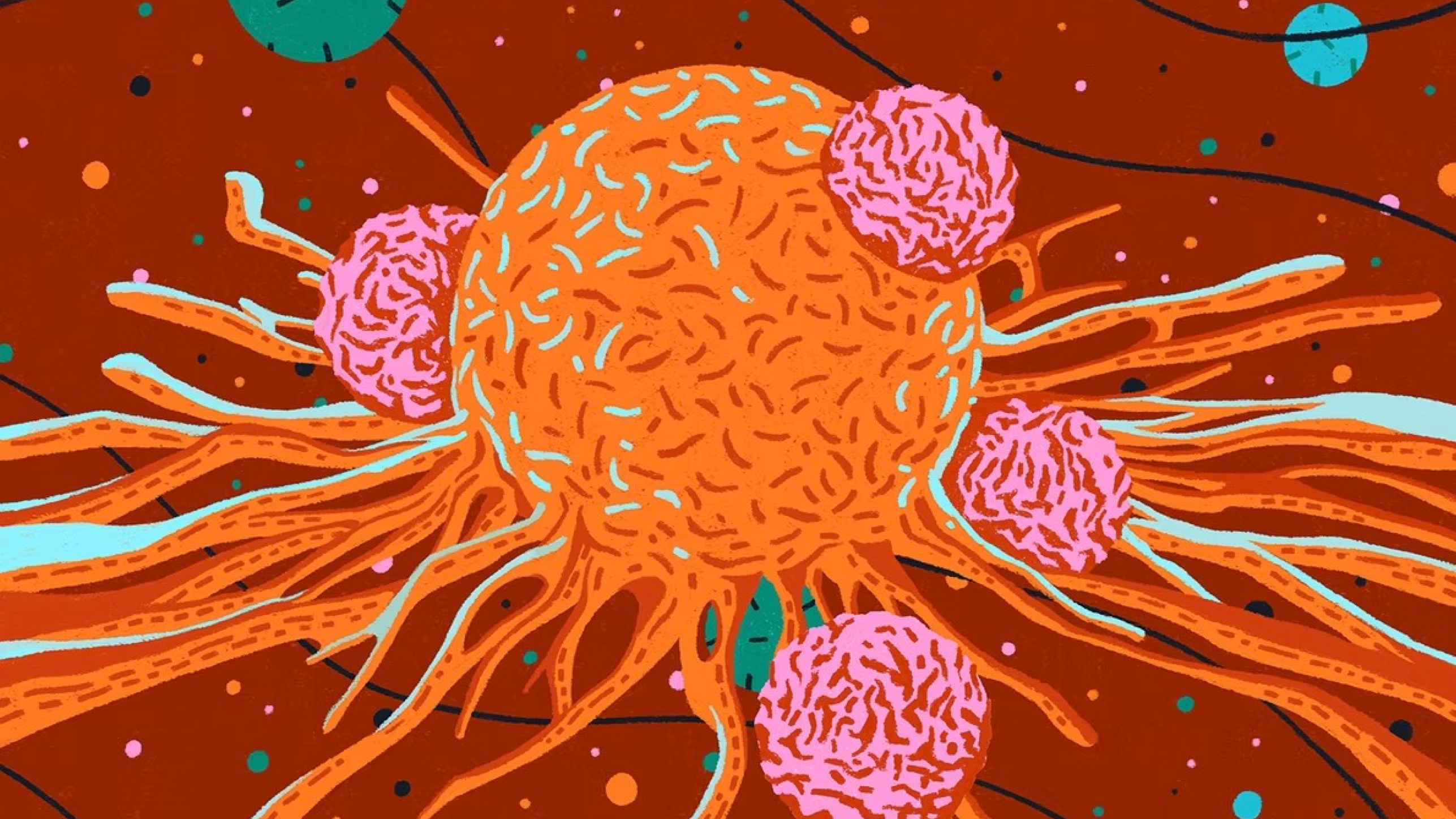 Elucidata Delivers Scalable Spatial Metabolomics for Precision Medicine