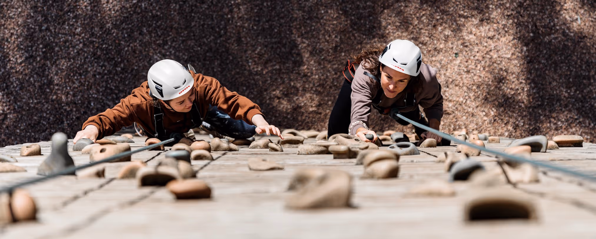 Early Careers Training