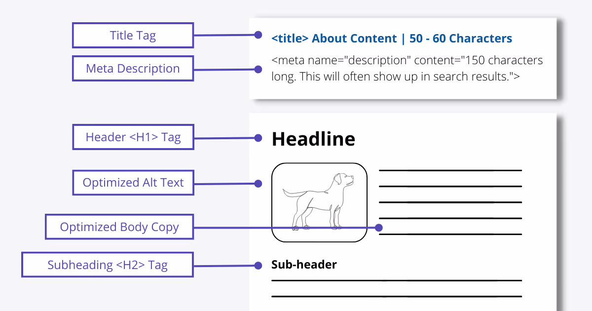 On-page SEO Best Practices Infographic
