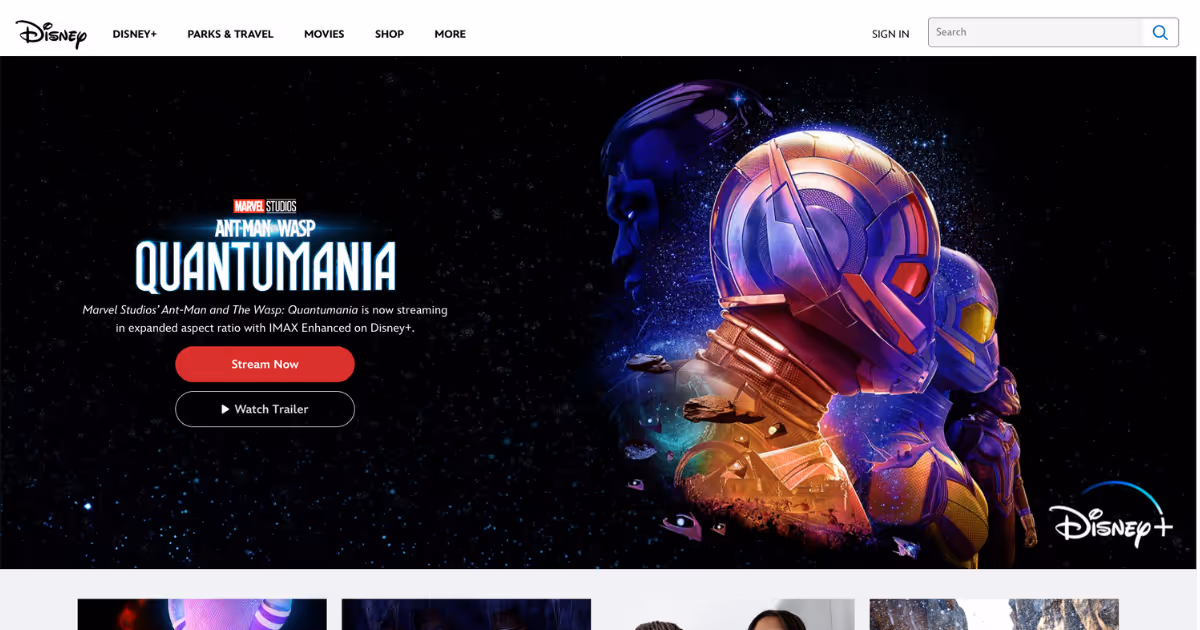 Custom Website Design - Disney Example