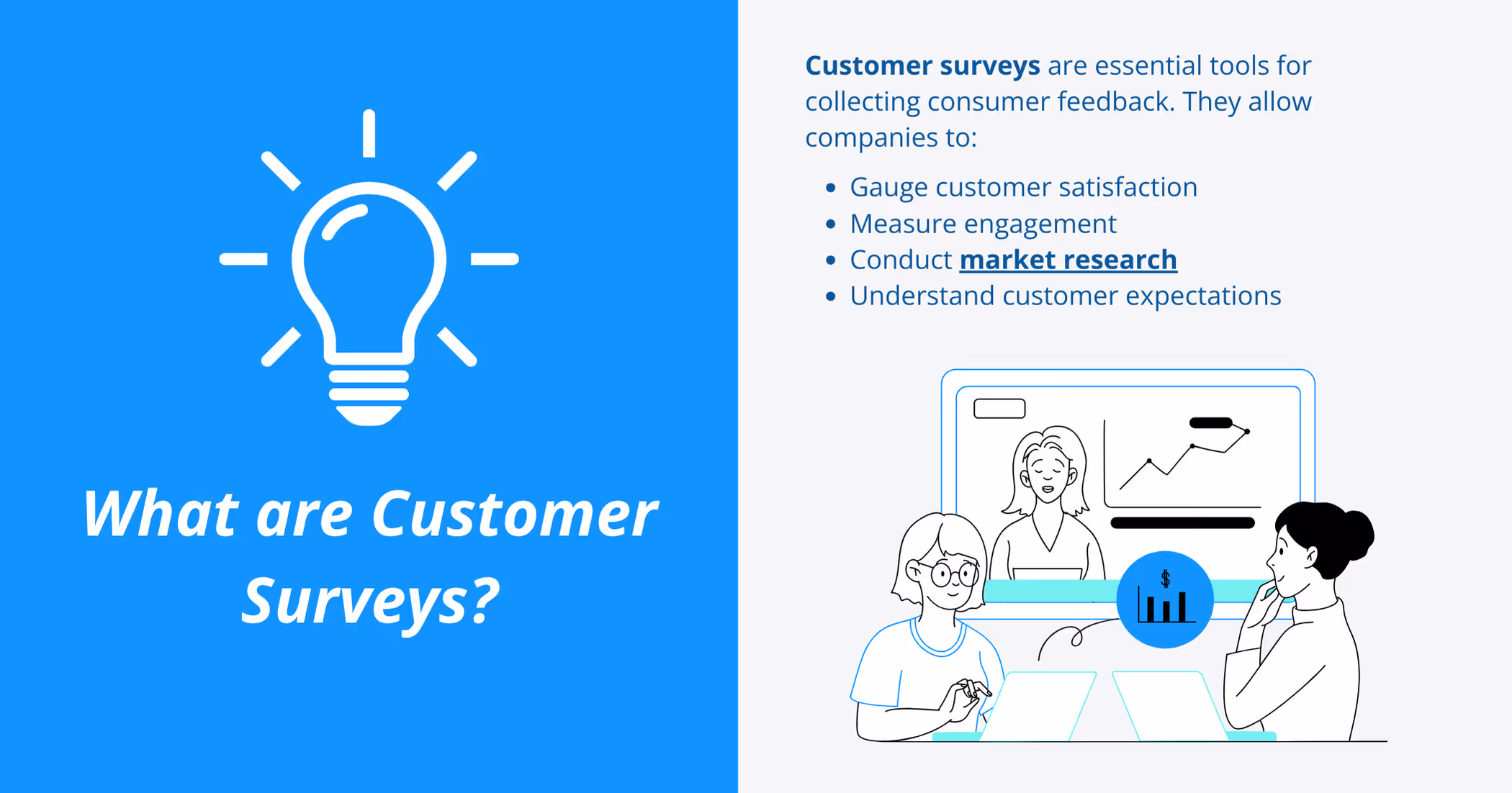 What are Customer Surveys?