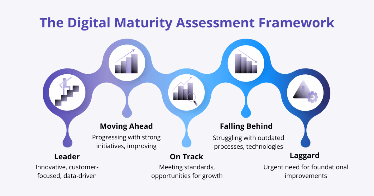 The Digital Maturity Assessment Framework