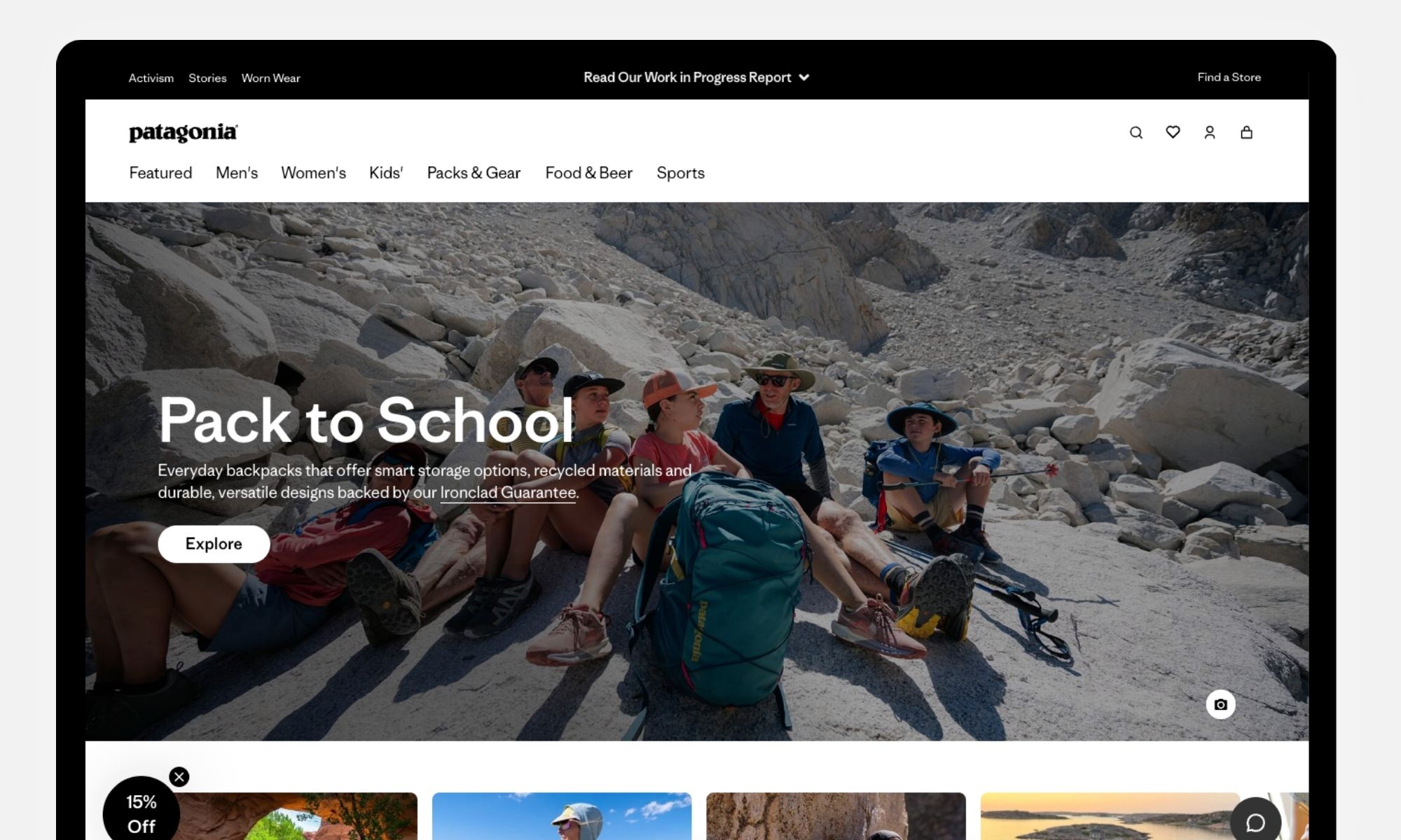 Patagonia website screenshot example