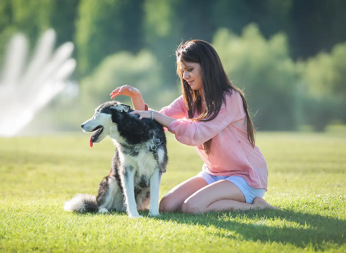 Hundesitter als Schülerjob