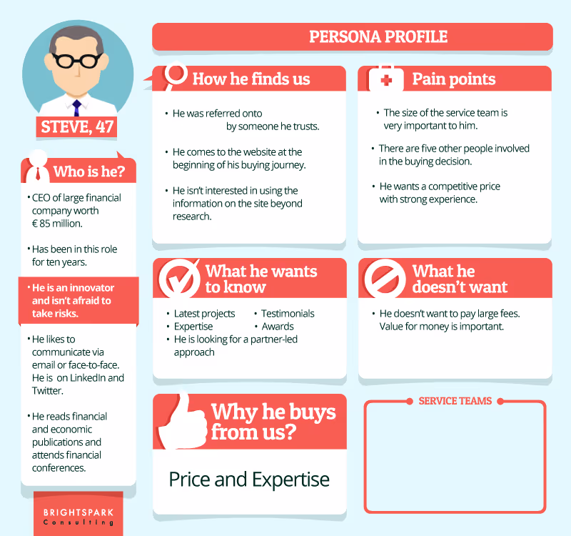 Brightspark Consulting sample persona profile