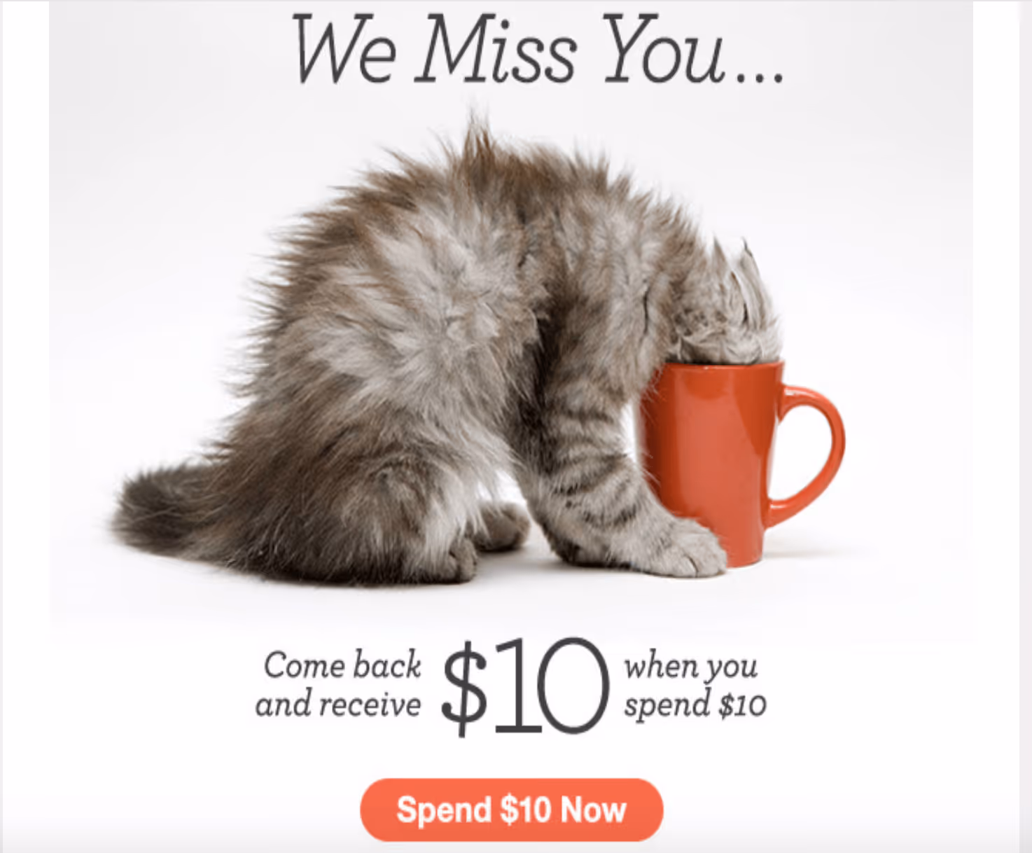 Zazzle We Miss You Email