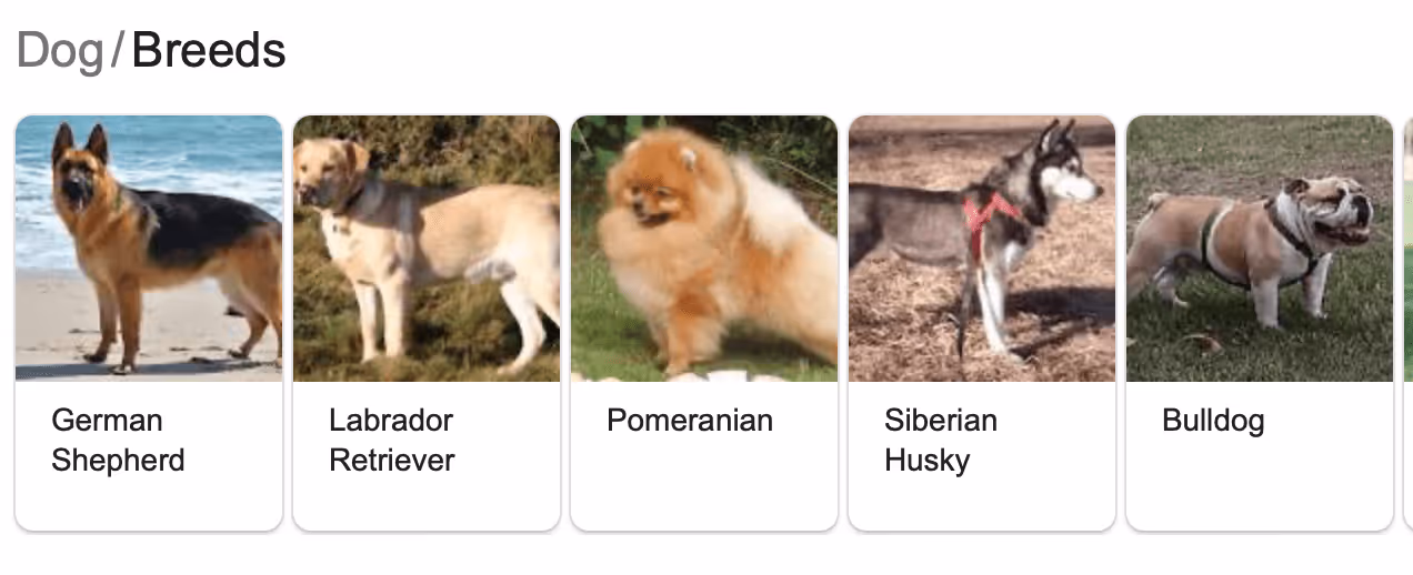 google visual serp results for dogs