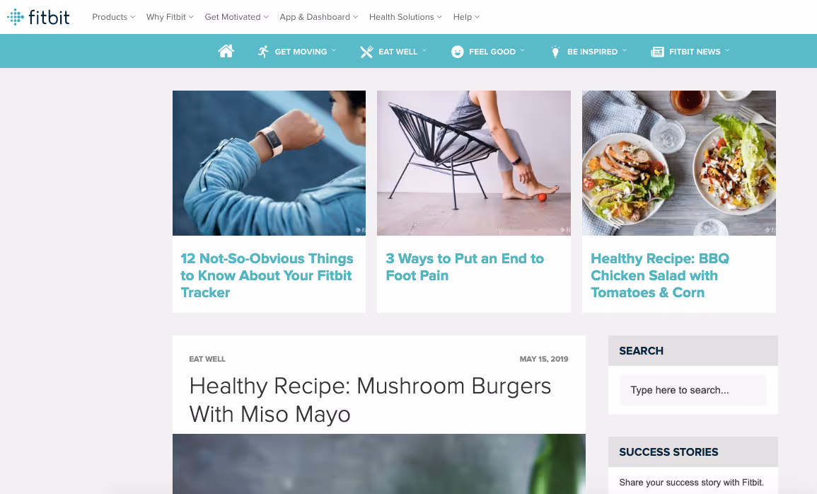 Fitbit blog screenshot