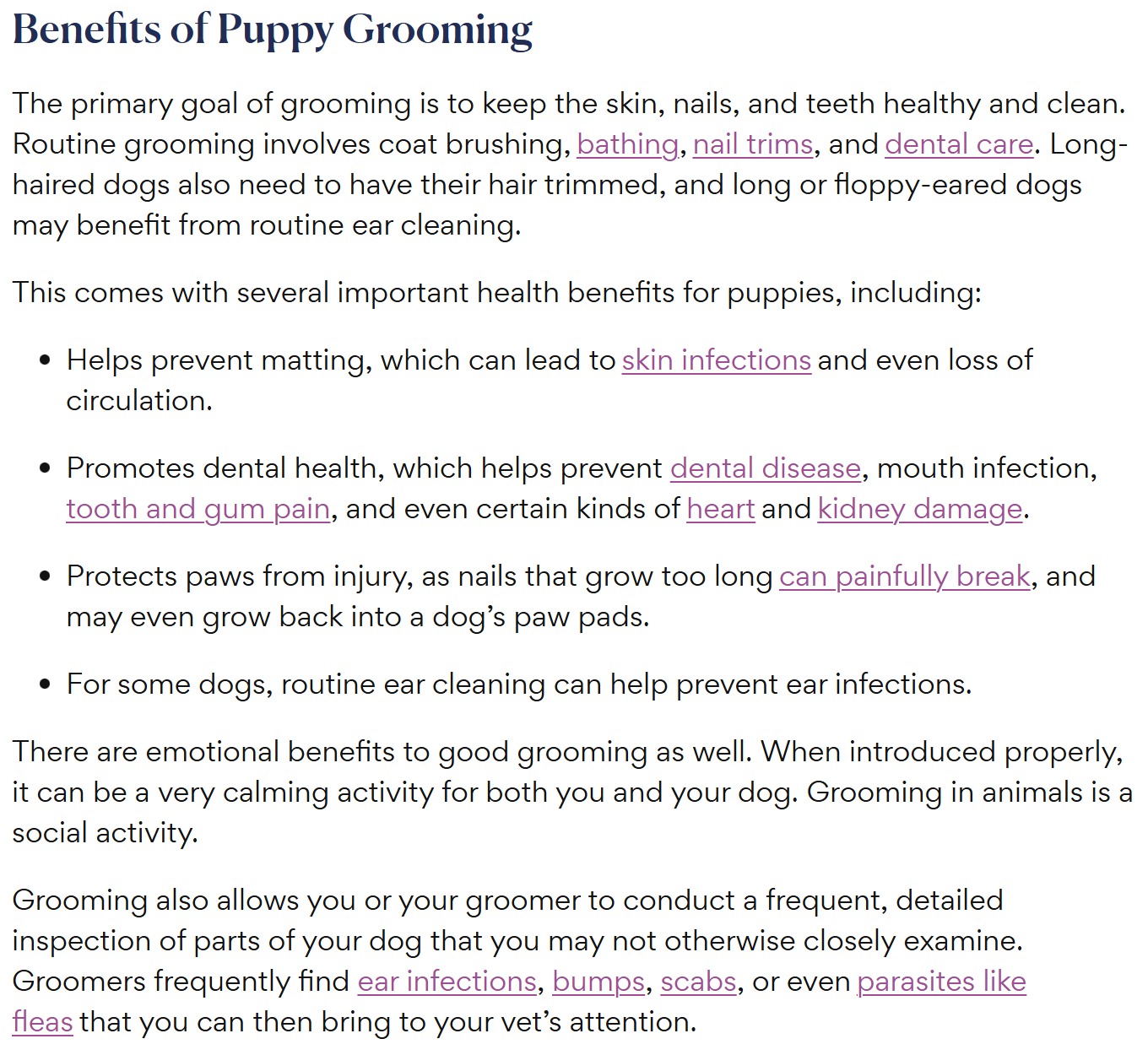 Puppy Grooming article anchor text example