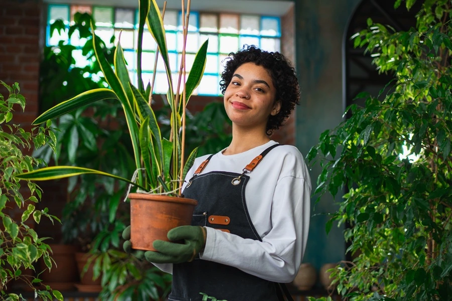 Small & Medium Businesses