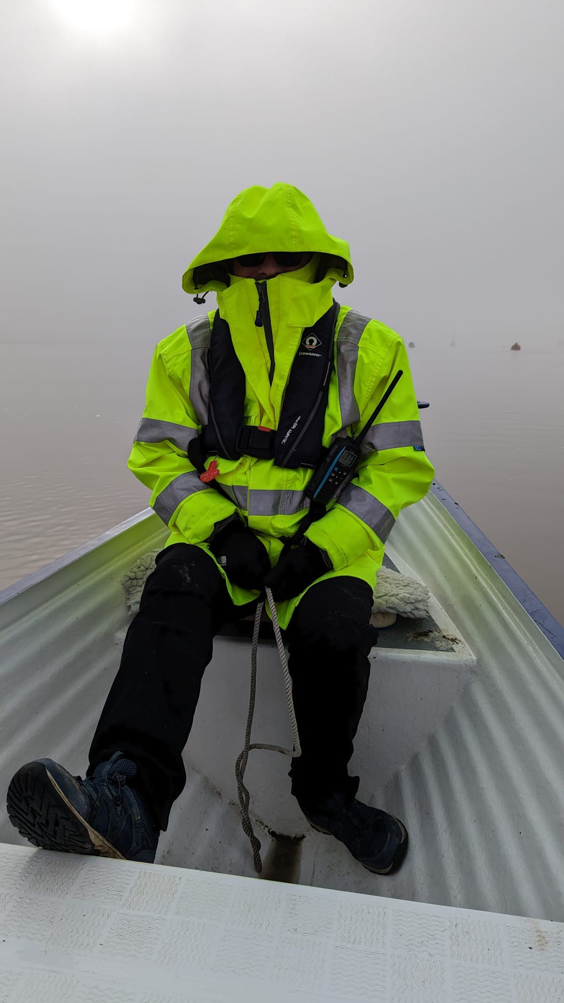 Cox in fog