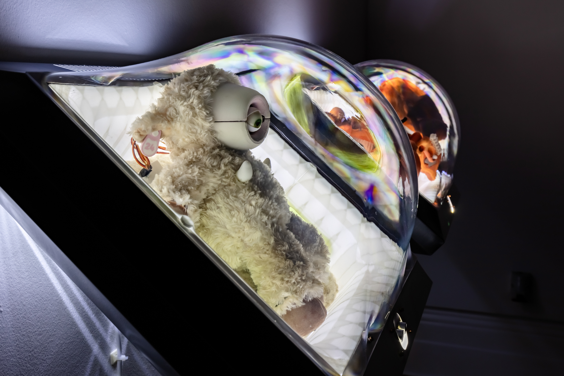 Dreams of Analog Machines 