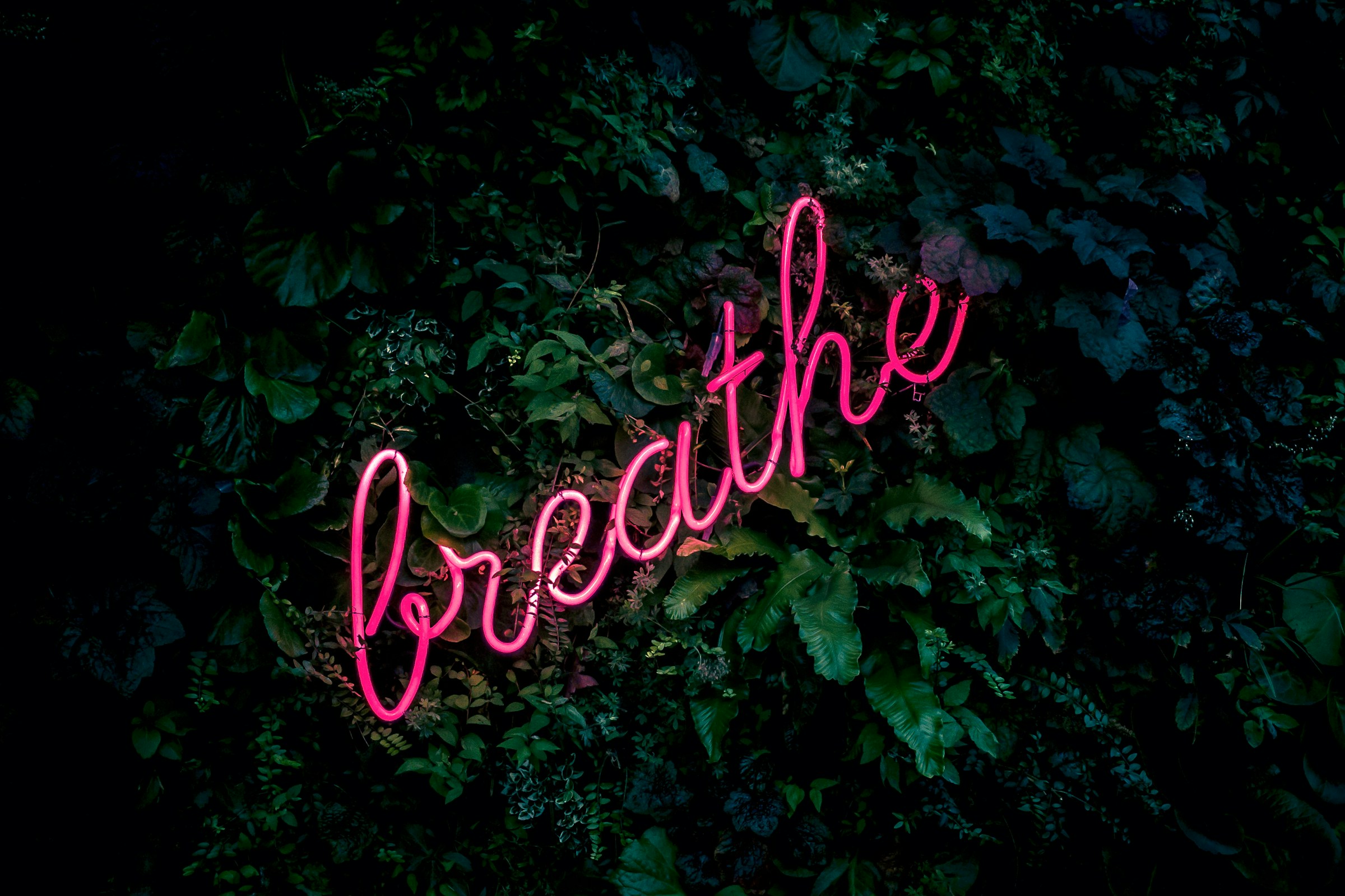 Waking up gasping for air? Learn about paroxysmal nocturnal dyspnea, its causes, and how to treat this serious sleep-related breathing problem.
