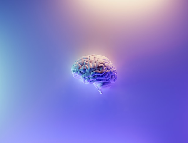 Why You Can't Sleep Even Though You're Exhausted (Hint: It's Your Brain)