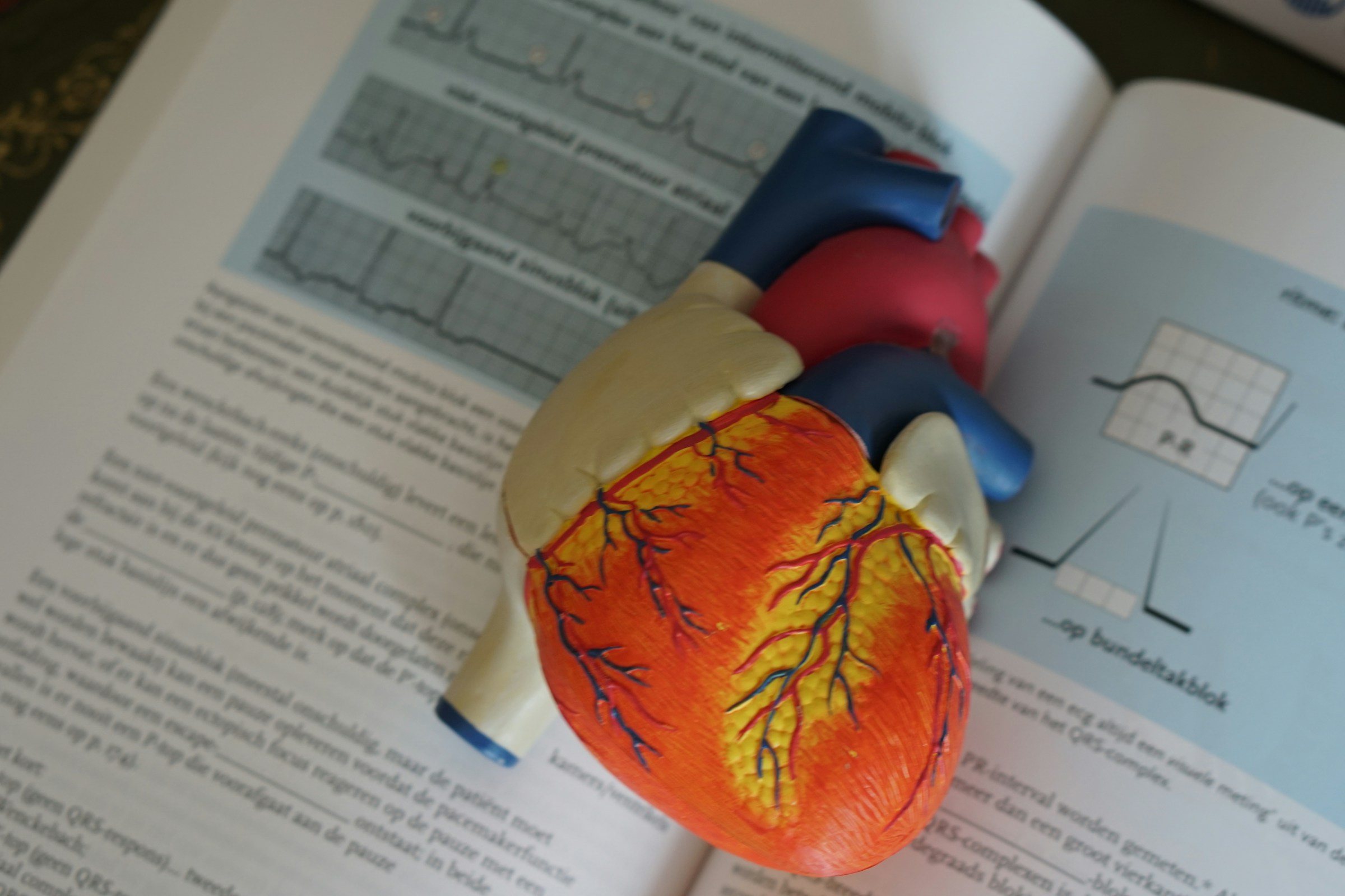 Sleep and Heart Health: How Sleep Loss Damages the Heart
