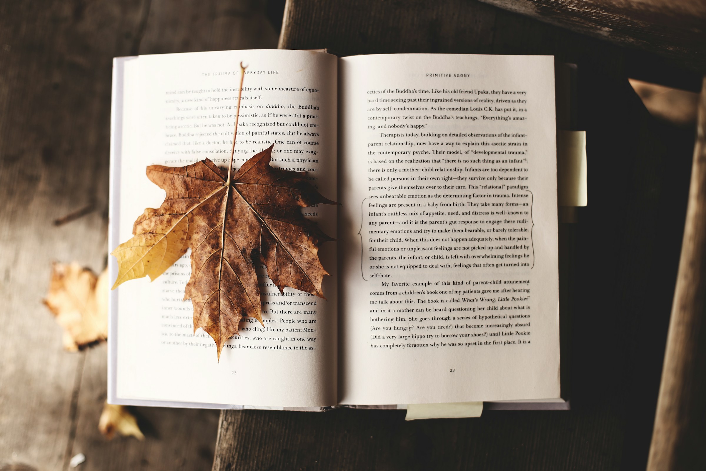 Discover how trauma can lead to PTSD, its emotional and physical effects, and evidence-based ways to heal and find hope for recovery.