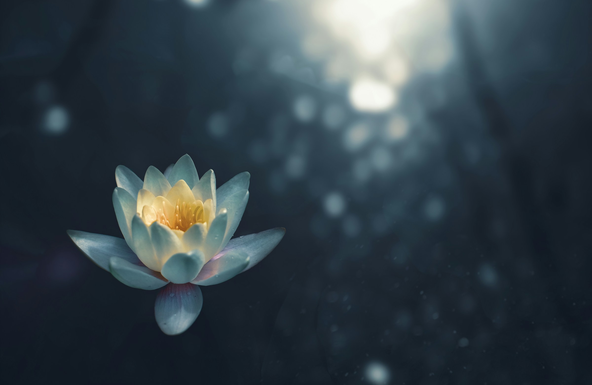 Learn how mindfulness meditation reduces anxiety, improves sleep, and helps you unwind with easy techniques you can start today.
