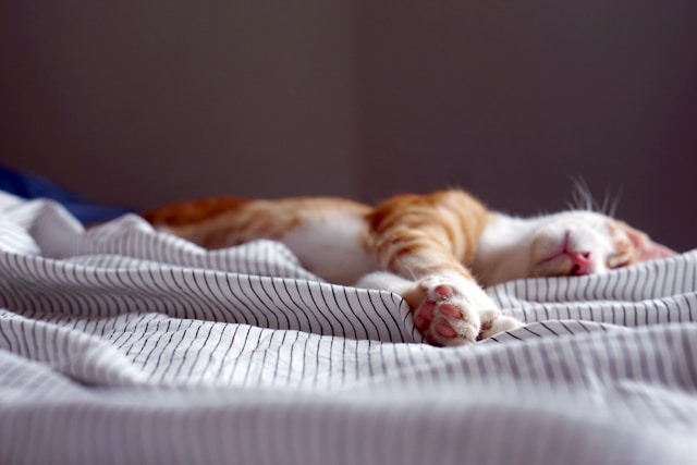 How does CBT-I work if my problem is waking up, not falling asleep?