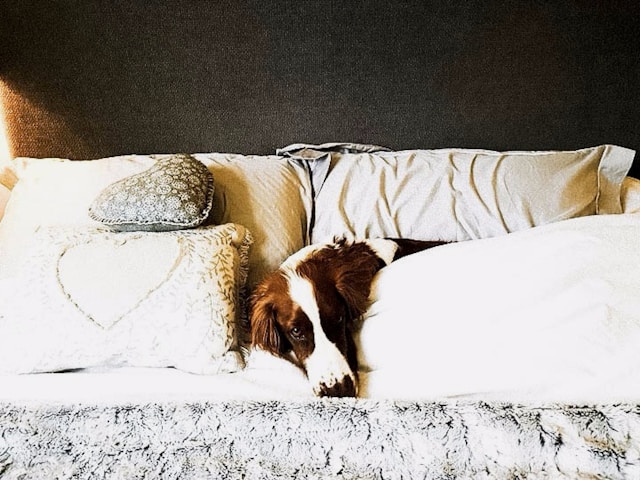 Is there a sleep program that adapts week by week based on progress?