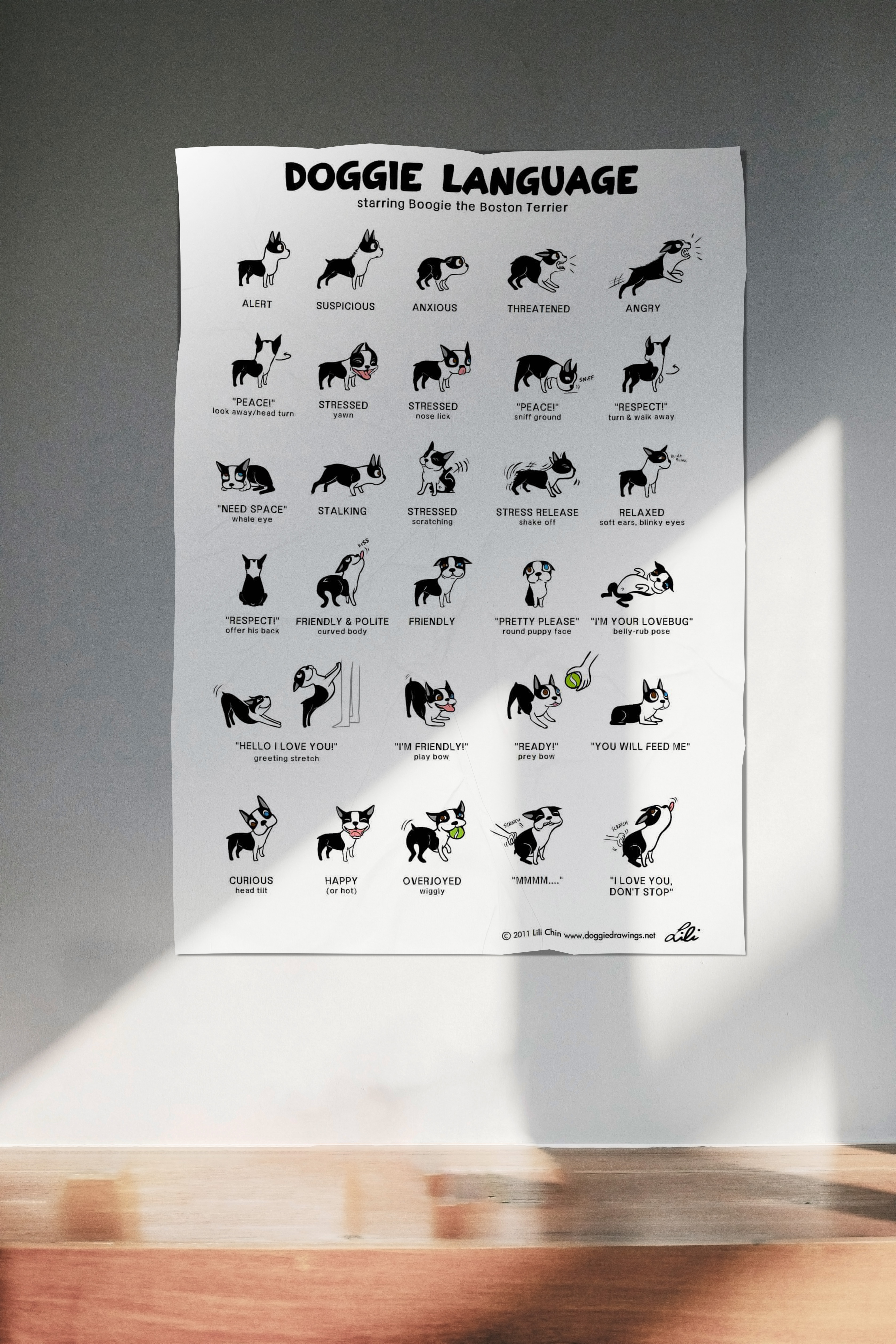 A mockup of a poster of dog body language on a plain white wall