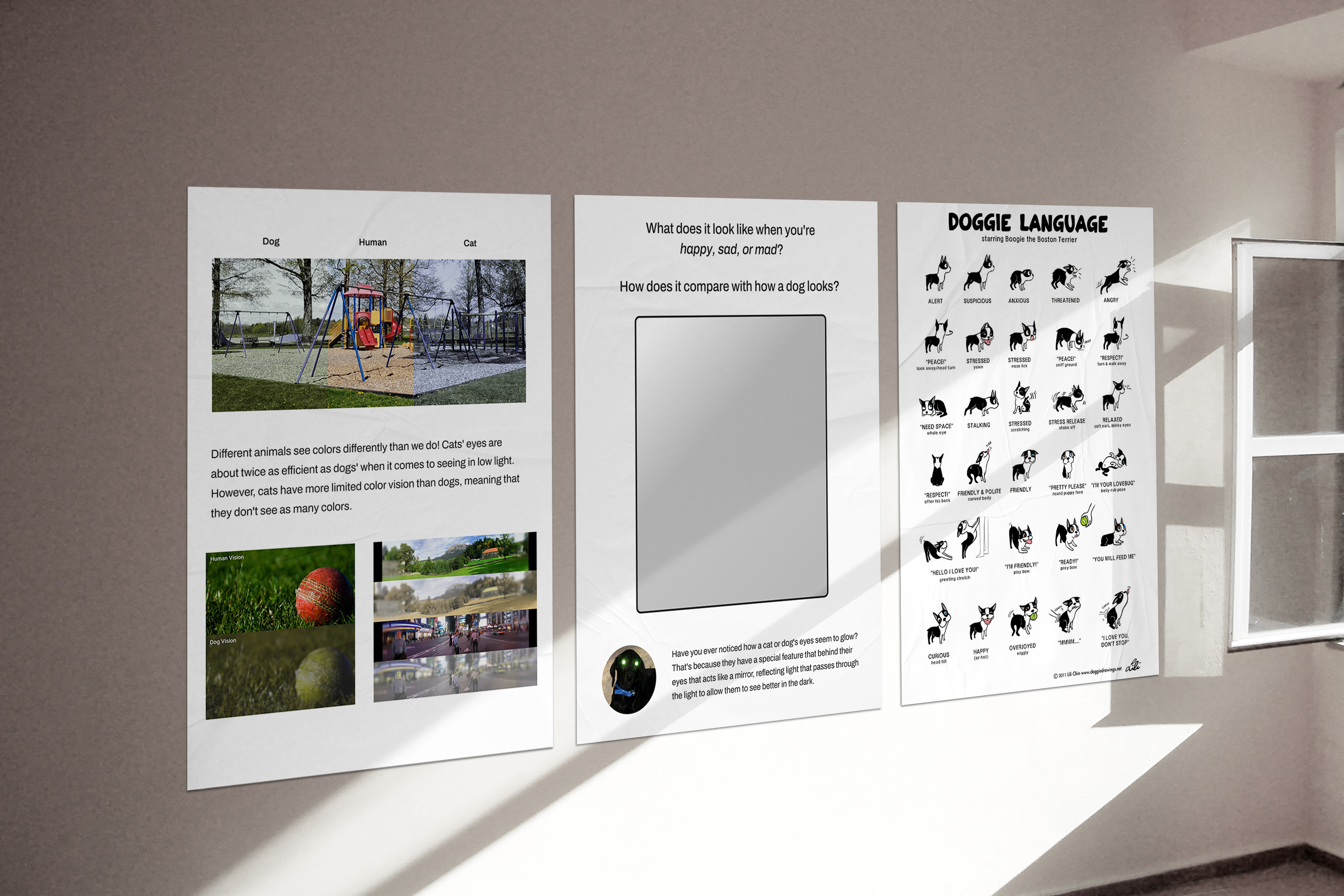 A mockup of 3 different educational posters on a plain white wall