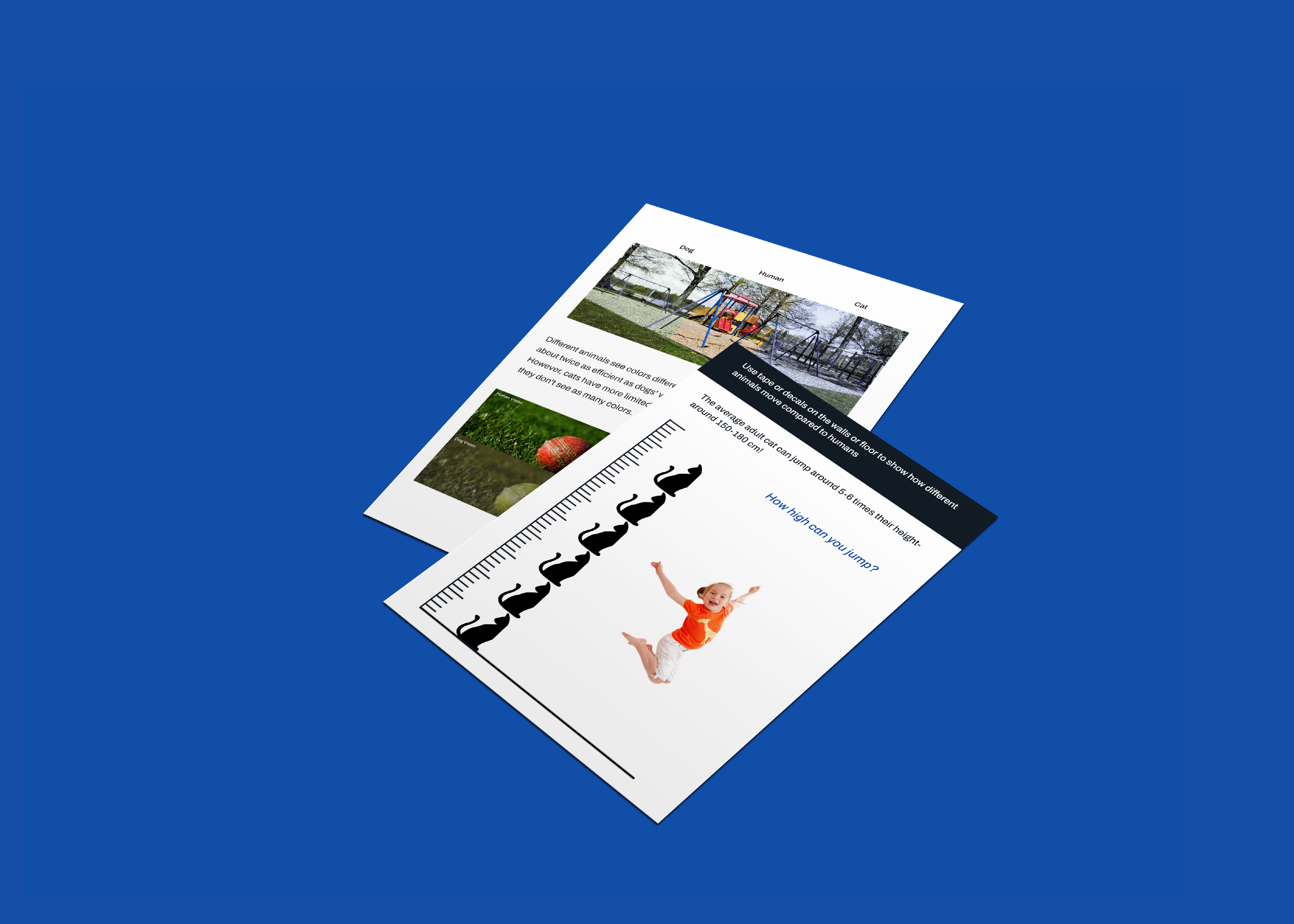 Two sheets of paper showing examples of educational interactive activities for animal shelters