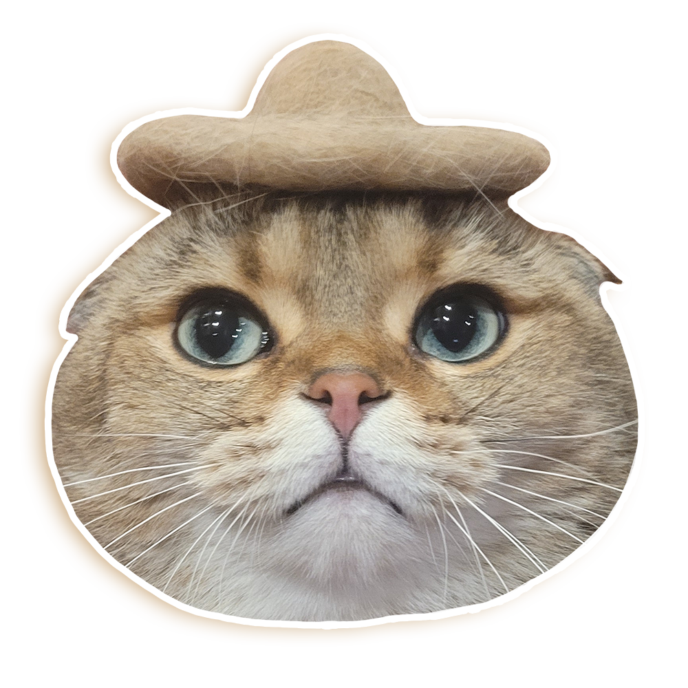 A transparent sticker of Euni's Brown Scottish-Fold cat Ciccio