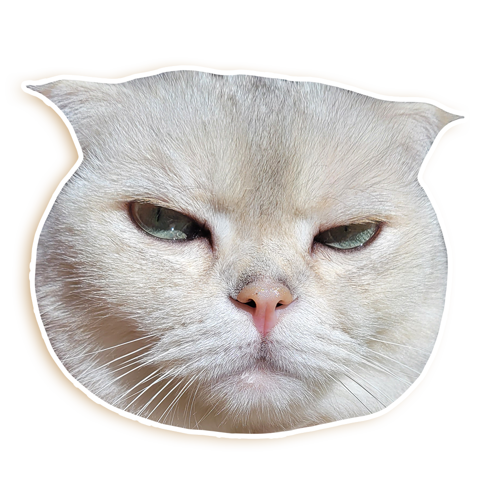 A transparent sticker of Euni's white Scottish-Fold cat Mito